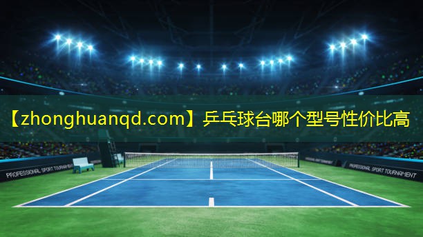 乒乓球台哪个型号性价比高