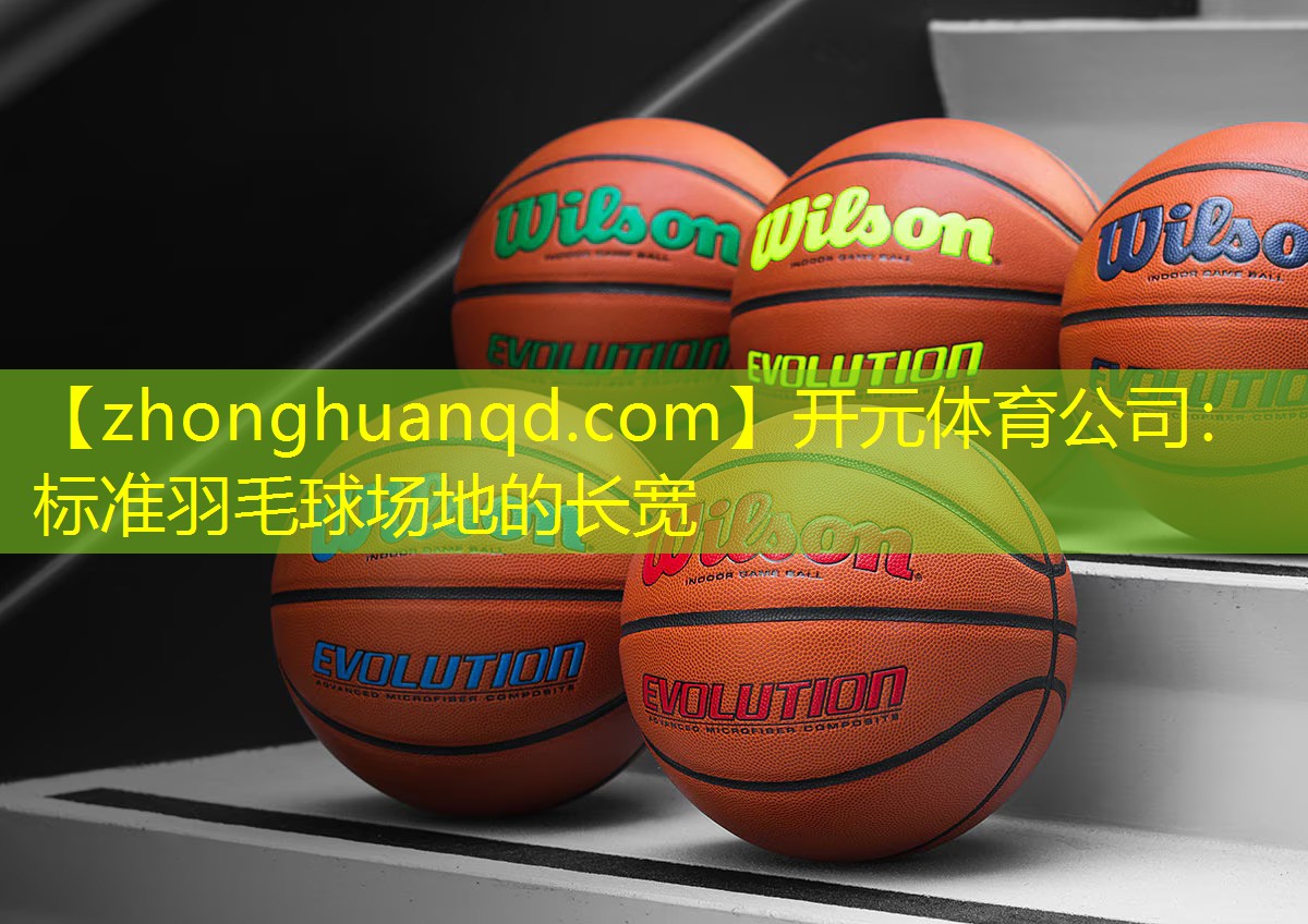 标准羽毛球场地的长宽